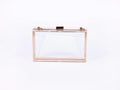 Clear Acrylic Purse